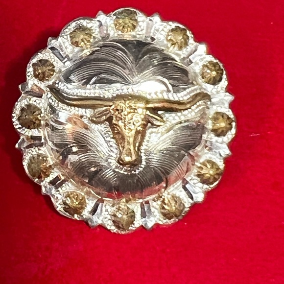 Cowgirl Silver Tone Plated Beaded Bracelet and Handcrafted Bull Earrings - Picture 4 of 7